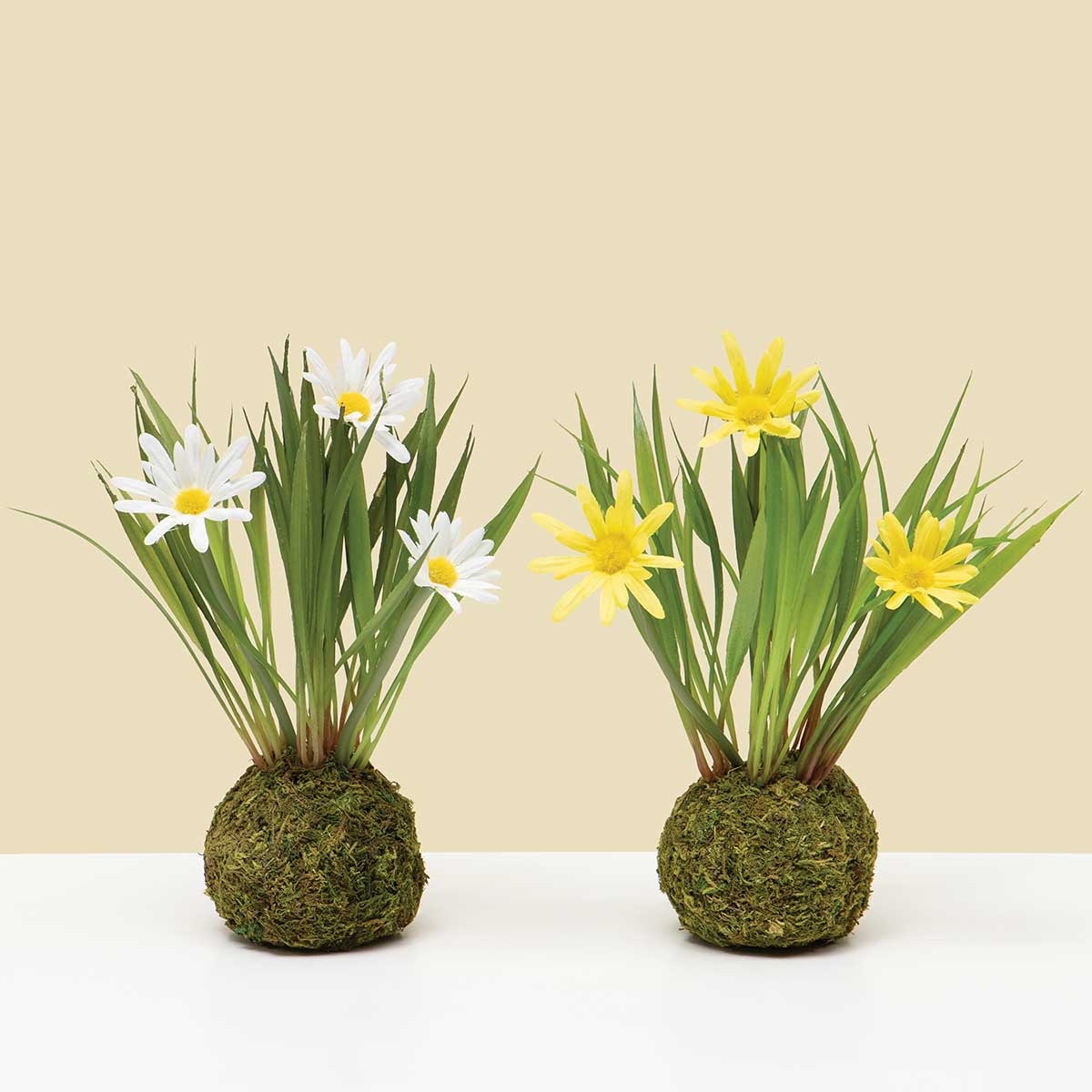 MINI DAISY ON MOSS BALL YELLOW 5IN X 8IN POLYESTER/PLASTIC - Click Image to Close